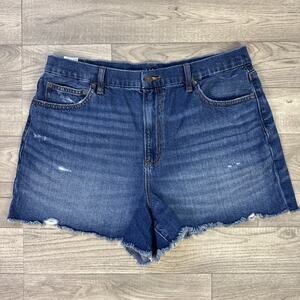 American Eagle Curvy 90s Boyfriend Jean Shorts High Rise Dark Wash sz 16